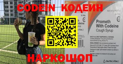 бошки Кингисепп