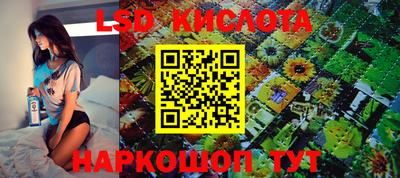 стафф Кимры