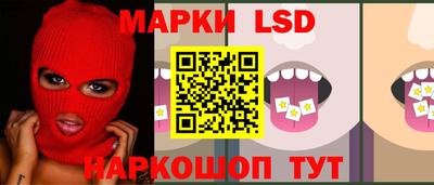 бошки Кингисепп