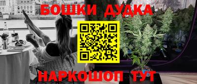 бошки Кингисепп