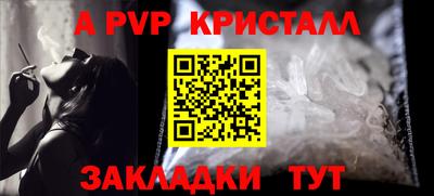 бошки Кингисепп