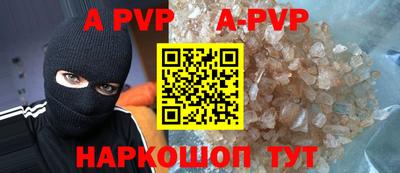 бошки Кингисепп