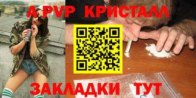 бошки Кингисепп