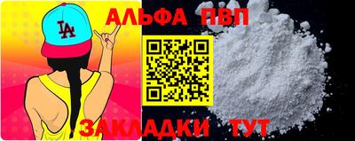 бошки Кингисепп