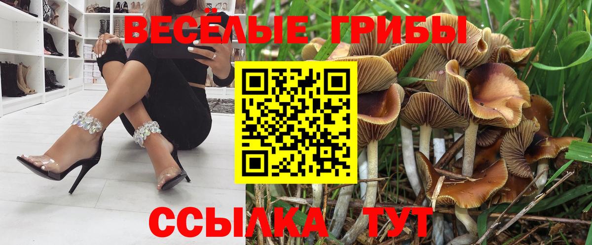 Галлюциногенные грибы GOLDEN TEACHER Кандалакша